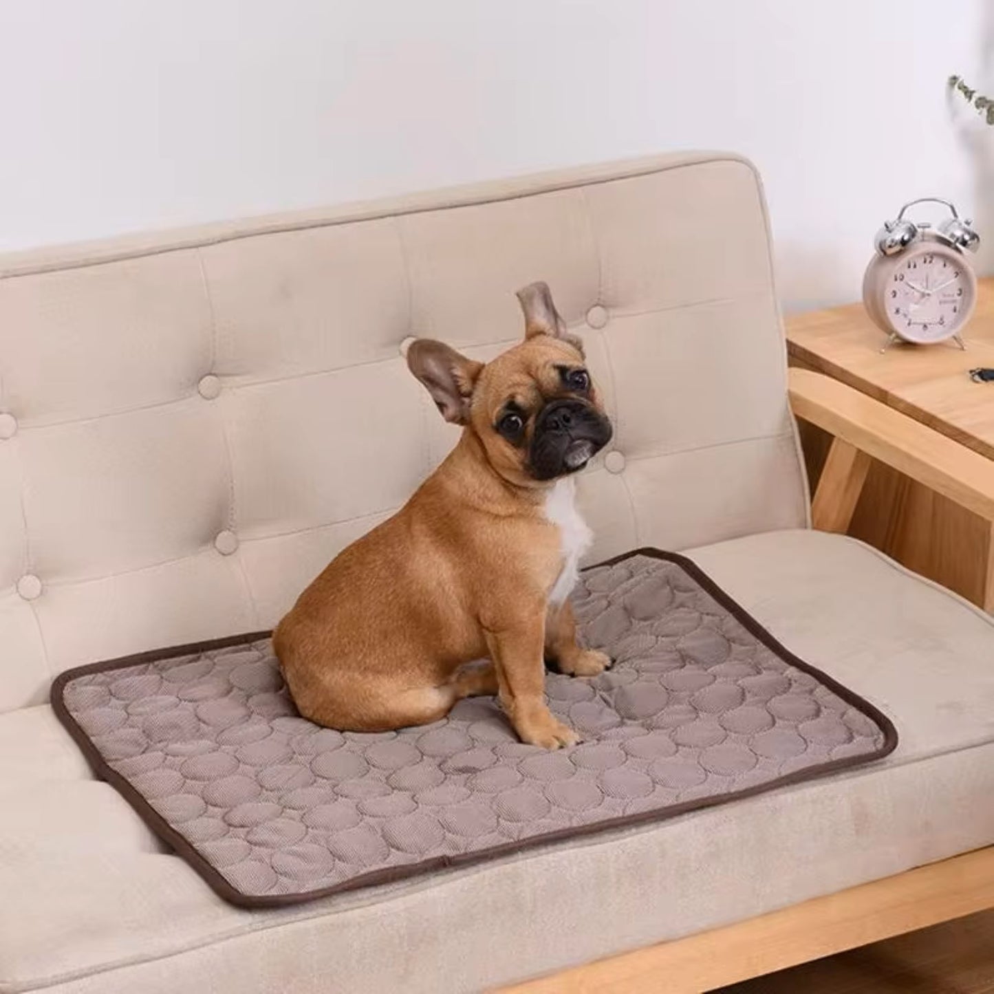 Cooling Summer Dog Mat - Breathable, Washable Pad, Perfect for Small to Large Pets and Car Use