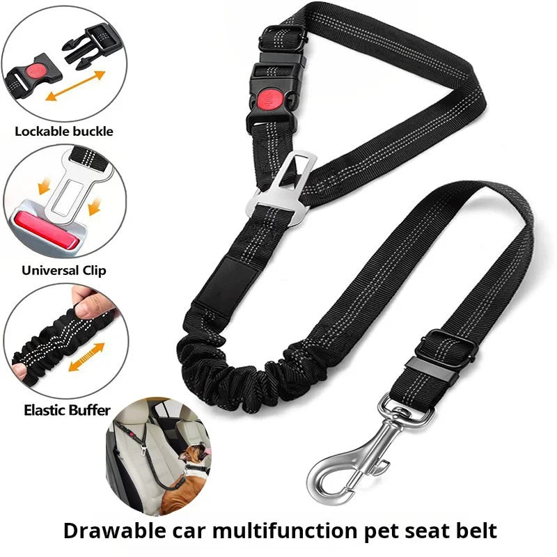 Multi-Functional car seat belt