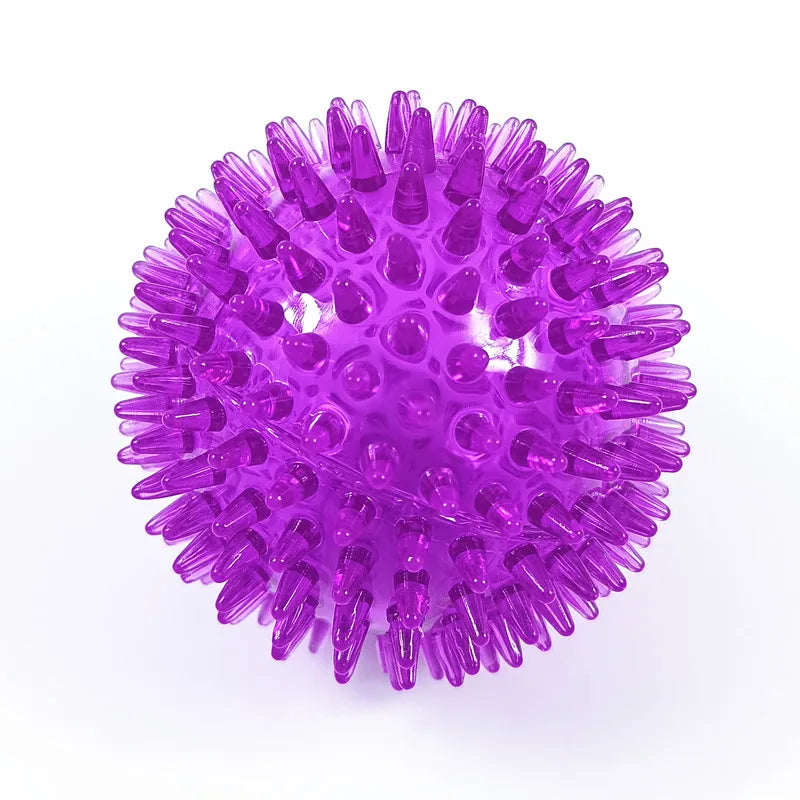 49173572944196|49173573042500