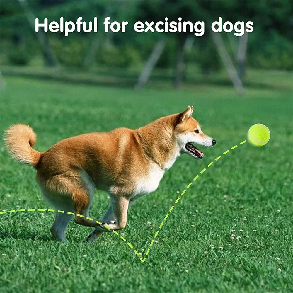 Yellow Tennis Balls – Compatible with Automatic Dog Ball Launcher