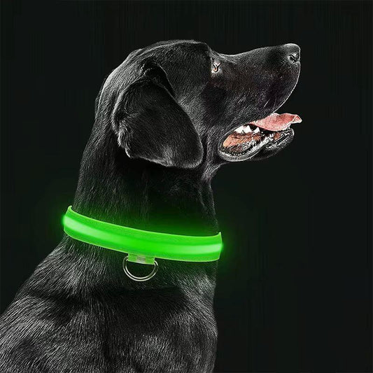 LED Nylon Dog Leash & Collar - Night Safety Glow in the Dark