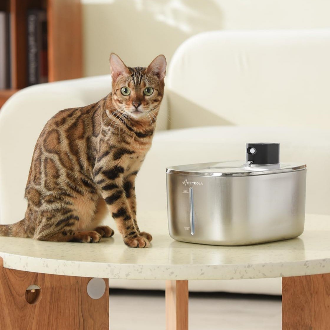 Wireless 4L Cat Water Fountain with Auto Sensor – Pet Drinking Dispenser