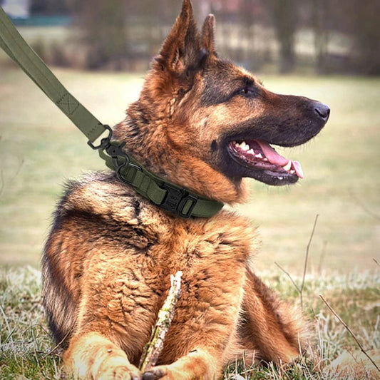 Adjustable Tactical Dog Collar & Leash Set