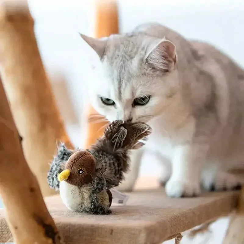 Interactive Chirping Bird Feather Toy