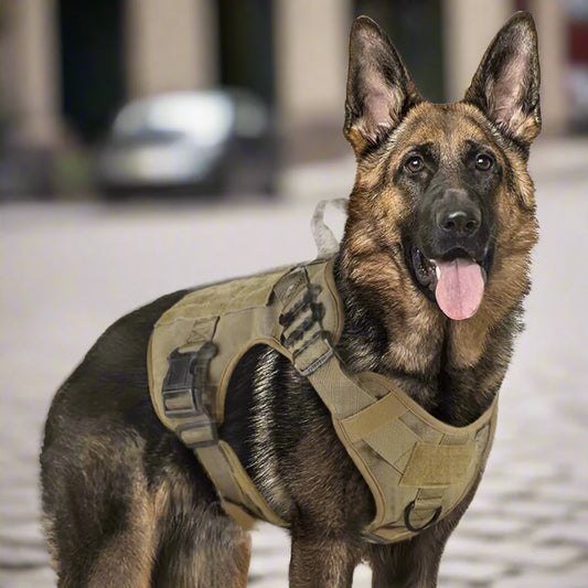 Tactical Dog Harness – Training Vest