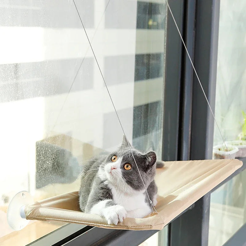 Hanging Cat Hammock - Comfortable Window Seat and Climbing Frame