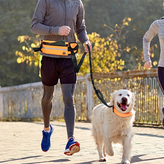 Hands-Free Reflective Dog Leash with Waist Bag – Retractable Elastic Belt for Running & Walking