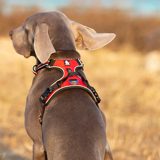 Reflective No-Pull Nylon Dog Harness