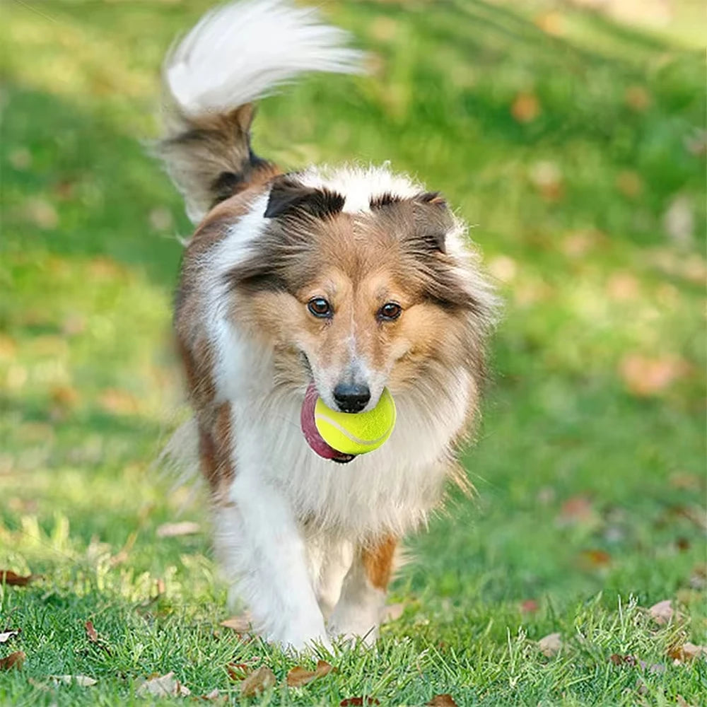 Yellow Tennis Balls – Compatible with Automatic Dog Ball Launcher